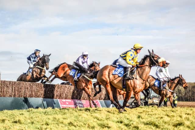 Action from the Brocklesby Park point-to-point EMN-170223-143921002