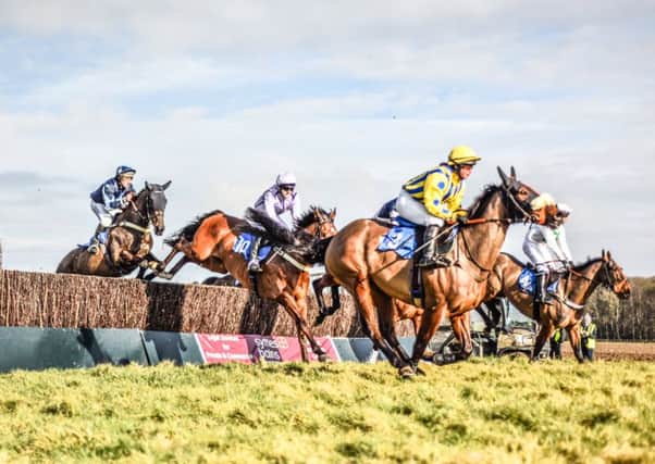 Action from the Brocklesby Park point-to-point EMN-170223-143921002