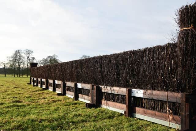 One of the jumps on the Revesby Races course. EMN-170303-091137001