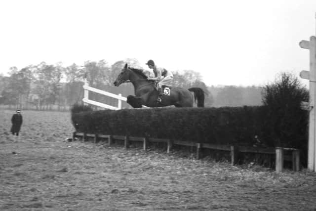 An action shot at the Revesby Races in 1960. EMN-170603-104042001