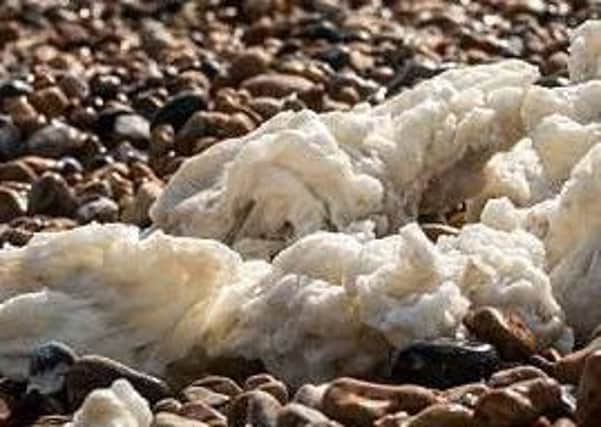 If you spot solidified palm oil on the beach, Skegness Aquarium says please call the council. ANL-170603-105841001