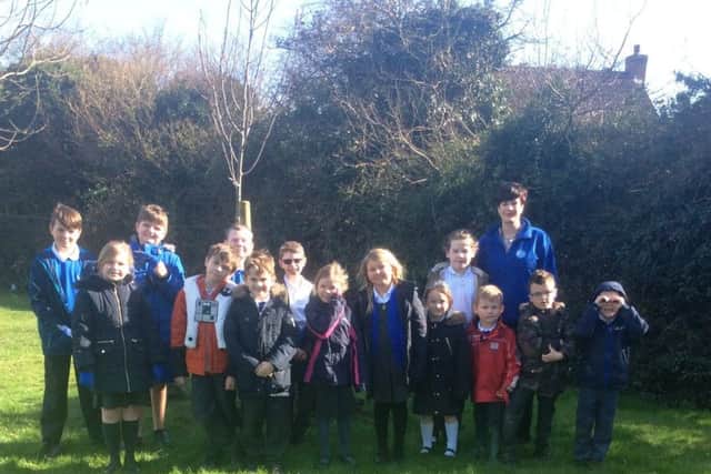 Youngsters at St Botolphs School, Quarrington planting their trees. EMN-170313-181954001