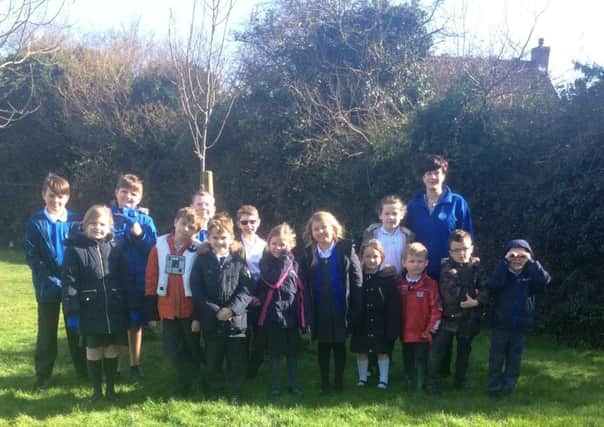 Youngsters at St Botolphs School, Quarrington planting their trees. EMN-170313-181954001