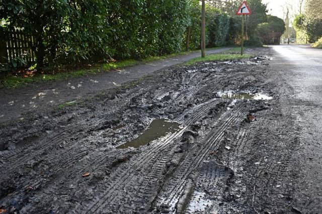 One of the damaged verges in Woodhall Spa. Photo: John Aron
