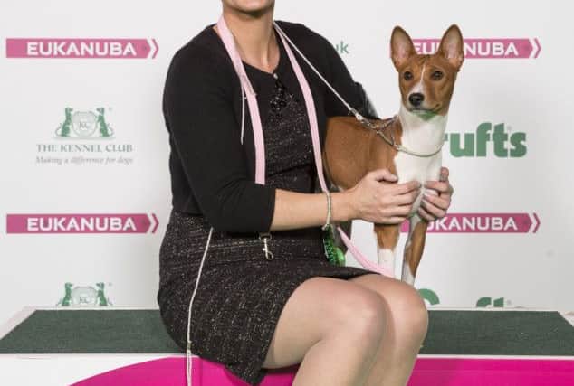 Market Rasen with Empress Neema a Basenji, which was the Best of Breed winner on the first day of Crufts 2017. Photo by onEdition