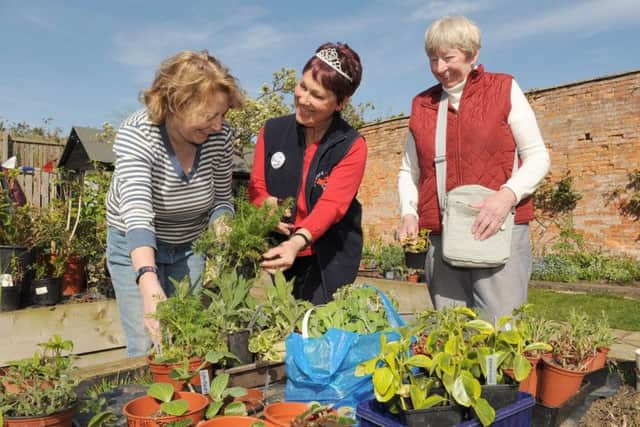 Sleaford in Bloom members at last year's annual coffee morning and plant swap event at West Hayes, Sleaford. EMN-170316-161338001