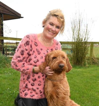Jean McDonald-Ulliott of Fisdyke with her Griffon Fauve De Bretagne called Hibeck Dino.