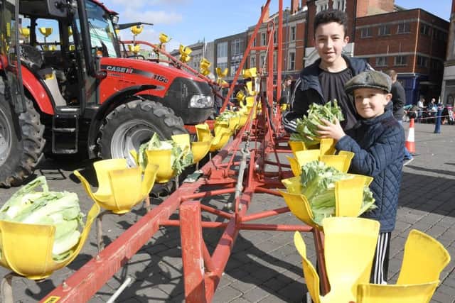 Celebration of Farming in Boston Market Place. Thomas Cox, 14, and Ben Cox, nine, of Boston, looking at a cauliflower machine.