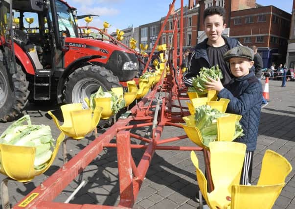 Celebration of Farming  in Boston Market Place. Thomas Cox, 14, and Ben Cox, nine, of Boston, looking at a cauliflower machine.