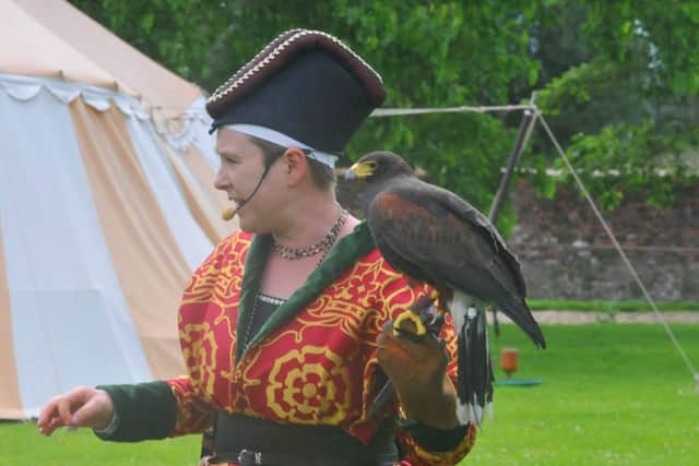 Falconry display at Tattershall Castle EMN-170320-162936001