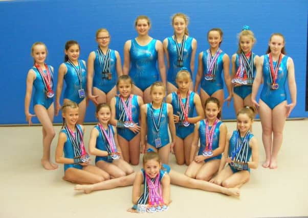 Some of the Sleaford Gymnastics Club members. EMN-170327-125920001