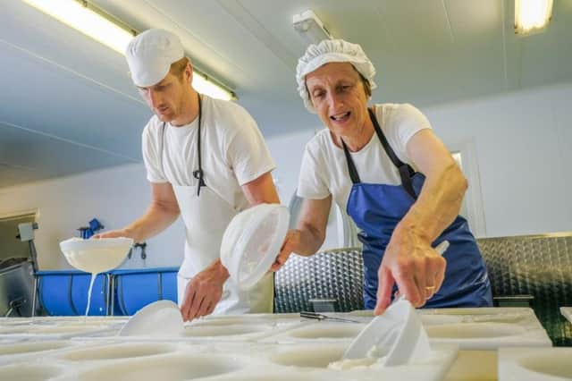 Artisan cheese makers, Cote Hill Cheese manufacture award winning cheeses, using milk from their own herd, at the farm in Osgodby, near Market Rasen.