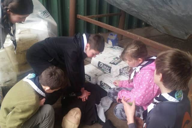 Scouts do CPR on a pretend patient. EMN-170323-140426001