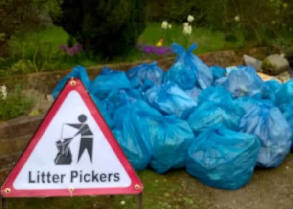 Litter collected by Tetford volunteer group EMN-170414-074206001