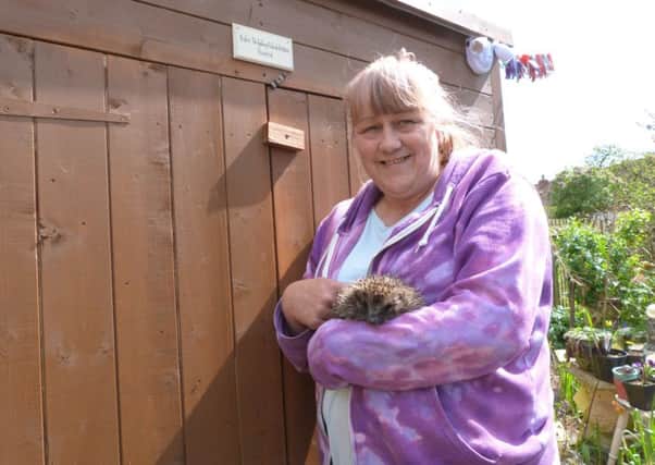 Laurie Fox outside the shed with Sweep (photo by Linda Oxley) EMN-170425-110232001