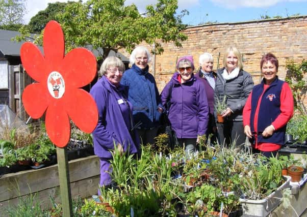 Sleaford In Bloom members and visitors enjoy the plant swap and coffee morning. EMN-170425-115337001