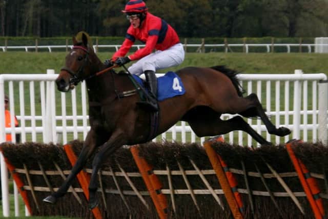 Royal Debutante (3/1) on his way to winning by two lengths in the Mares Handicap Hurdle. EMN-170428-123851002