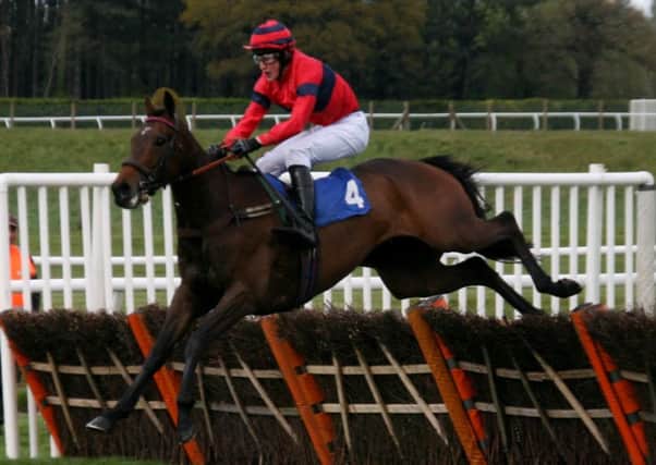 Royal Debutante (3/1) on his way to winning by two lengths in the Mares Handicap Hurdle. EMN-170428-123851002