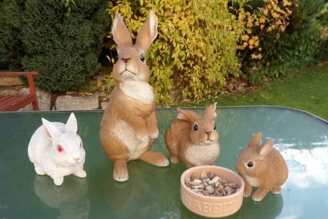 The stolen ceramic rabbits. EMN-170505-165320001