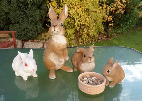 The stolen ceramic rabbits. EMN-170505-165320001