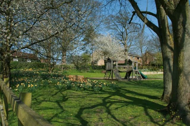 South Street Park in bloom in Caistor EMN-170705-144119001