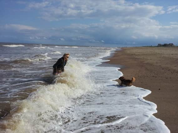 Dog owners in East Lindsey could face Â£100 if they do not clean up after their pets in public places like the beach under new proposals. ANL-171105-085934001