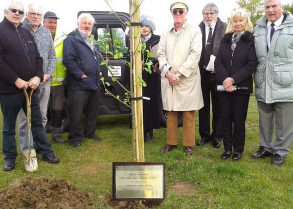 A tree planted and plaque installed in memory of Coun Alun Israel in Heckington. EMN-170516-114500001