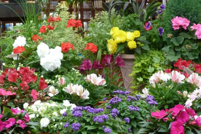 Flowers