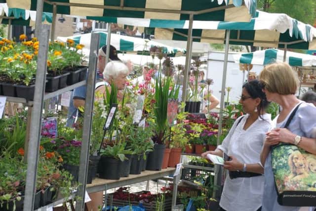 gardening related stalls will be in the market place (MMR1069) EMN-170525-095308001