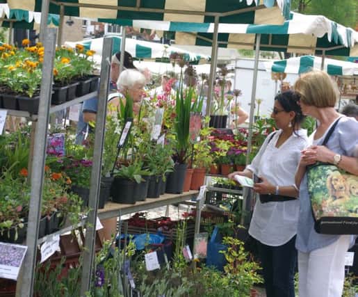 gardening related stalls will be in the market place (MMR1069) EMN-170525-095308001