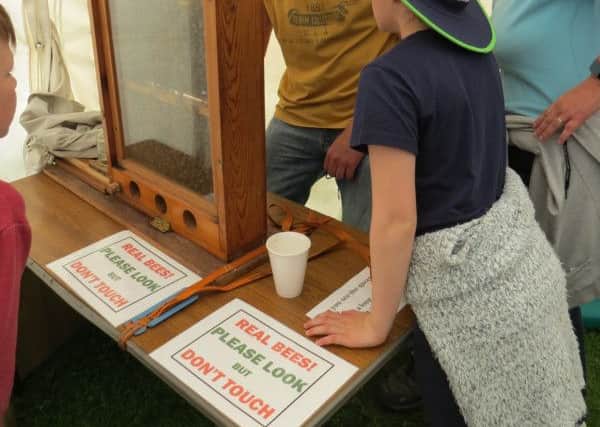 Hall Farm at Staqinton  le Vale will open on June 11 as part of Open Farm Sunday EMN-170526-105243001