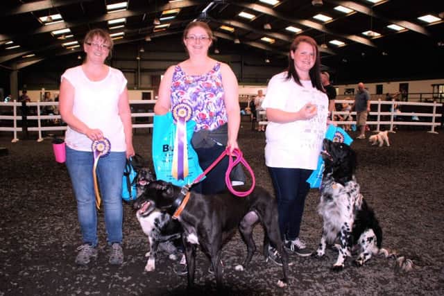 Dog Fliss and Mrs Hargreaves, winner Lulu with Mrs Edwards and Oscar with Mr Hunter