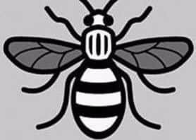 The bee tattoo which customers can get at Olive and Weston this Sunday. EMN-170806-092039001