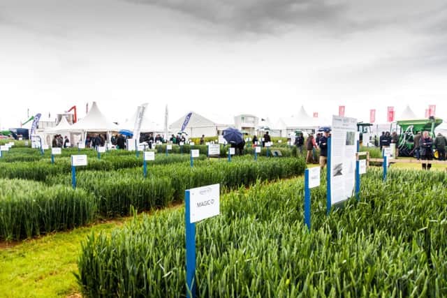 The stands at a previous Cereals Show in Boothby Graffoe. EMN-170806-113115001
