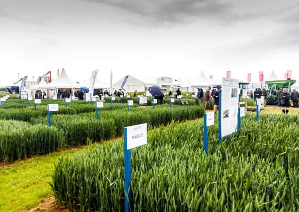 The stands at a previous Cereals Show in Boothby Graffoe. EMN-170806-113115001