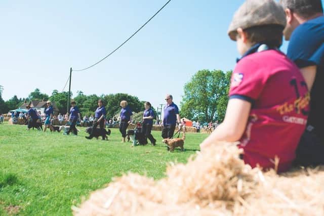 Fun dog show at Uncle Henrys EMN-170806-153857001