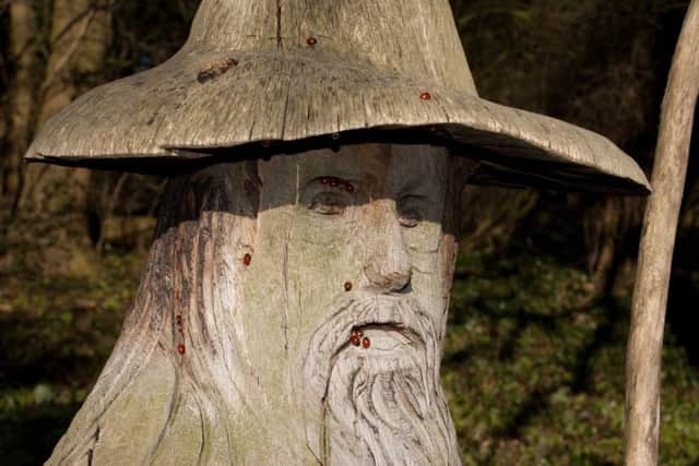 Hackthorn garden wizard EMN-171006-113142001