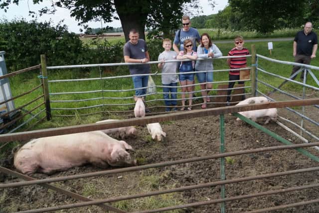 Open Farm Sunday at Minting Park Farm EMN-171206-092505001