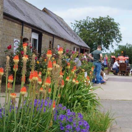 Open Farm Sunday at Minting Park Farm EMN-171206-092444001