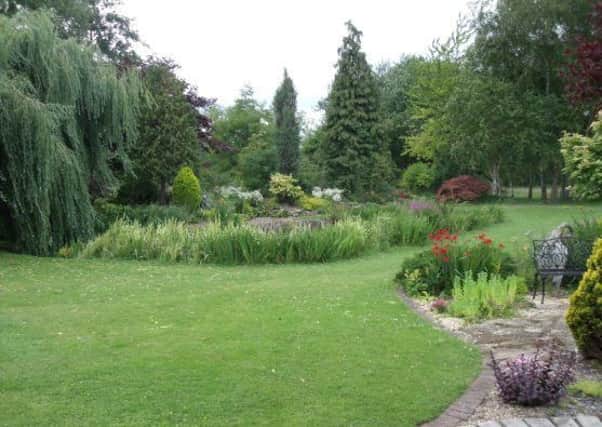 Ada Trethewey's garden in Electric Station Road, Sleaford. EMN-170616-093339001