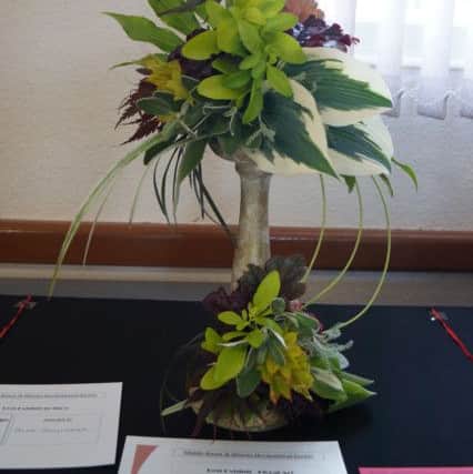 Best in Show - Rita Goulsbra EMN-170621-071028001