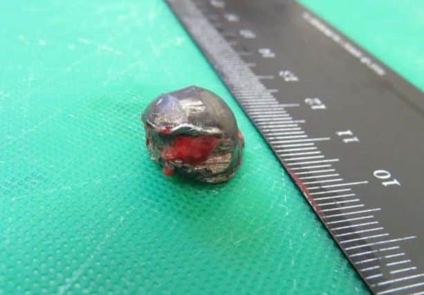 The bullet that came from the dog.
