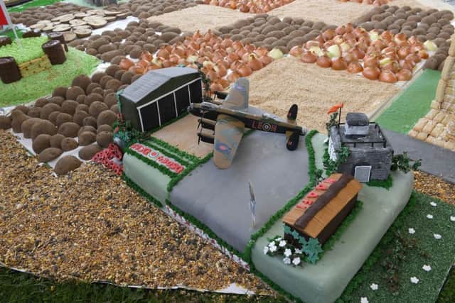Lincolnshire Aviation Heritage Centre cake at the SO Festival in Skegness. Photo: MSKP-020717-17 ANL-170307-104431001
