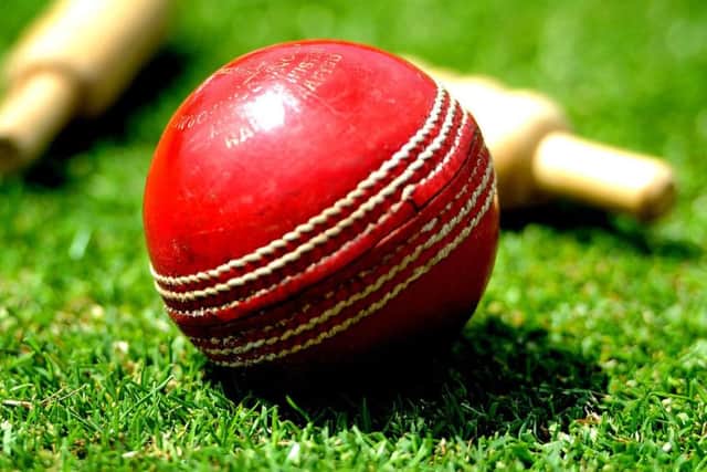 Cricket