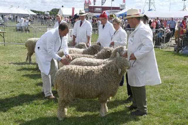 149th Heckington Show. EMN-170307-192523001