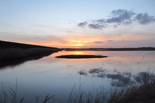 Frampton Marsh. Picture by Chris Andrews.