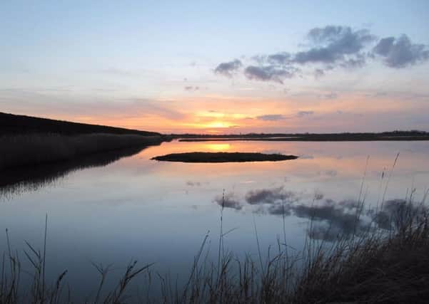 Frampton Marsh. Picture by Chris Andrews.