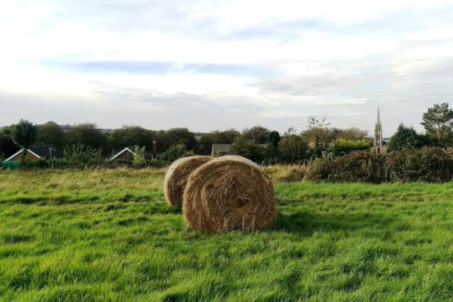 The Julian Bower site in Louth.