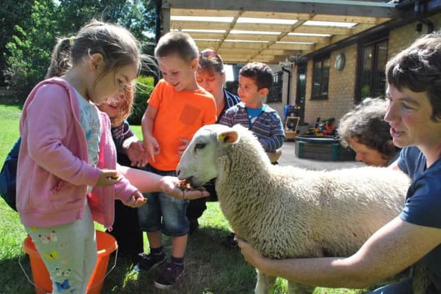 Ava-Lily Shane, Frankie Segasbyand Christos Bazoukis pet a lamb.