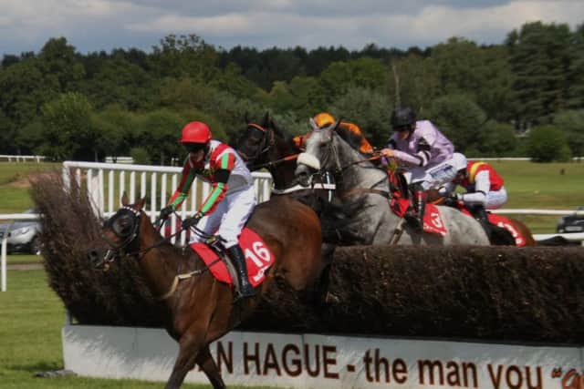 Grey horse Alcala came through to win the big race, the £50,000 Summer Plate Chase EMN-170724-155042002